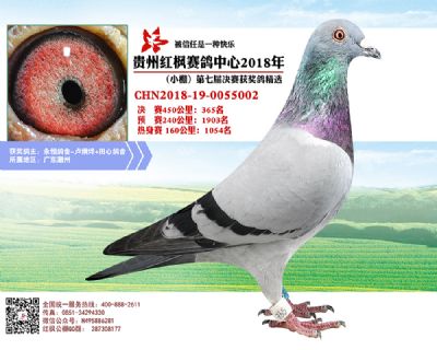 红枫小棚决赛365名