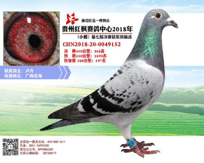 红枫小棚决赛368名
