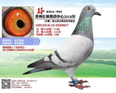 红枫小棚决赛370名