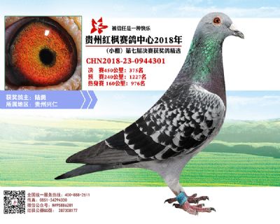 红枫小棚决赛375名