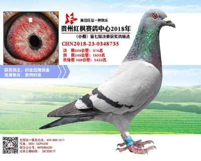 红枫小棚决赛376名