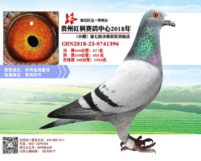红枫小棚决赛377名