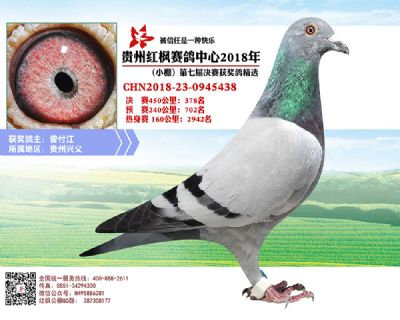 红枫小棚决赛378名