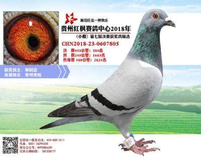 红枫小棚决赛380名