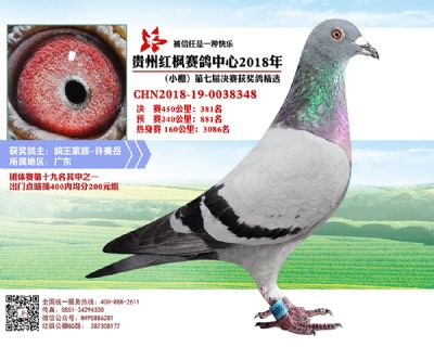 红枫小棚决赛381名