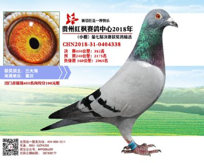 红枫小棚决赛382名