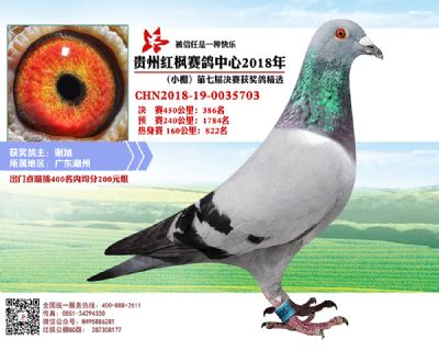 红枫小棚决赛386名