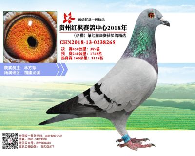 红枫小棚决赛389名