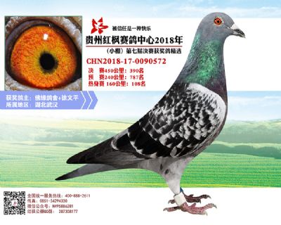红枫小棚决赛390名