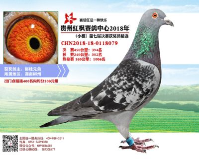 红枫小棚决赛394名