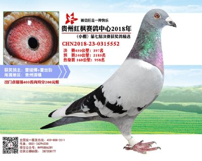 红枫小棚决赛397名