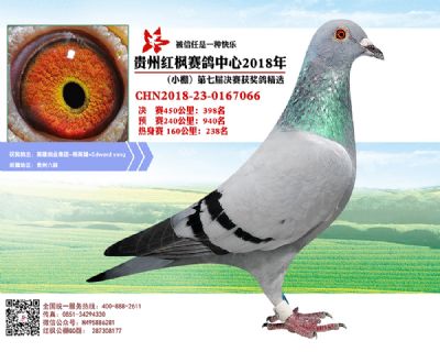 红枫小棚决赛398名