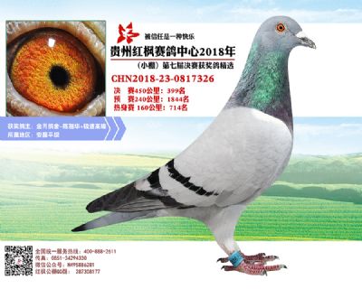 红枫小棚决赛399名