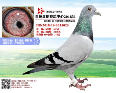 红枫小棚决赛405名