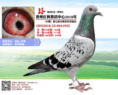 红枫小棚决赛408名