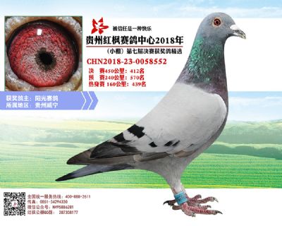 红枫小棚决赛412名