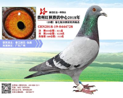 红枫小棚决赛411名