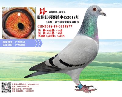 红枫小棚决赛414名