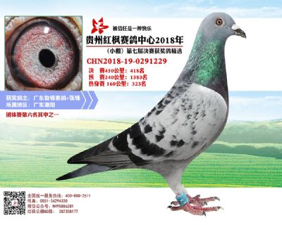 红枫小棚决赛418名