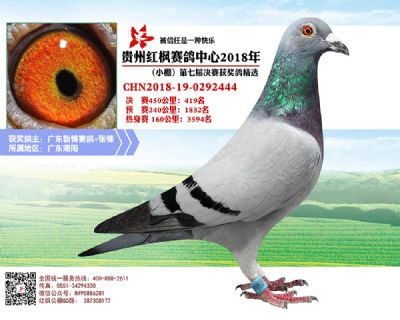红枫小棚决赛419名