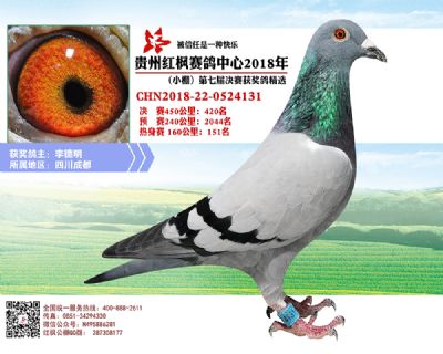 红枫小棚决赛420名