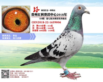 红枫小棚决赛424名