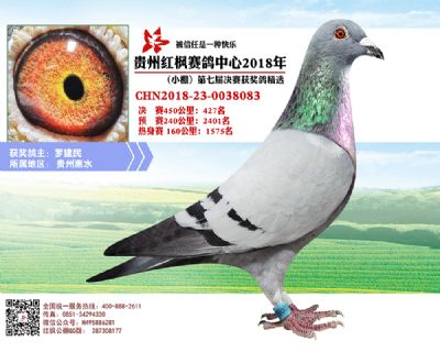 红枫小棚决赛427名