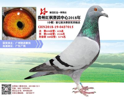 红枫小棚决赛428名