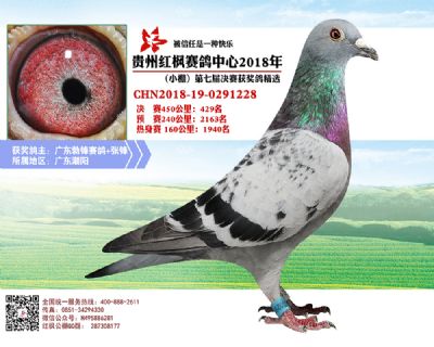 红枫小棚决赛429名