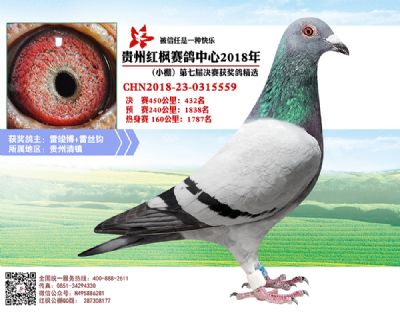 红枫小棚决赛432名