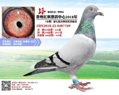 红枫小棚决赛434名