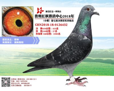 红枫小棚决赛435名