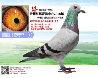 红枫小棚决赛437名
