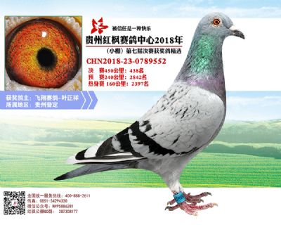 红枫小棚决赛438名