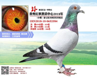 红枫小棚决赛439名