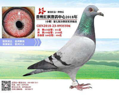 红枫小棚决赛441名