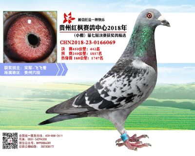 红枫小棚决赛442名