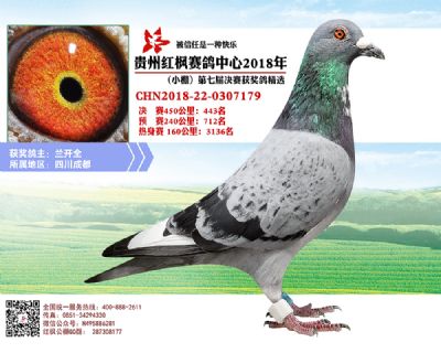 红枫小棚决赛443名