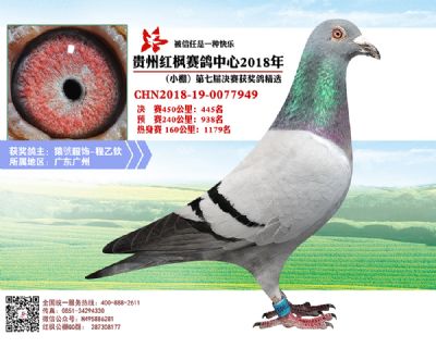 红枫小棚决赛445名