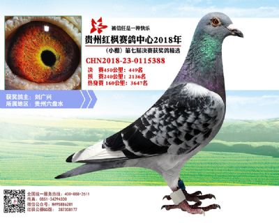 红枫小棚决赛449名