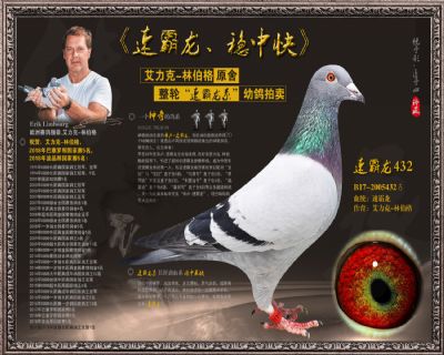 速霸龙432