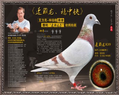 速霸龙839