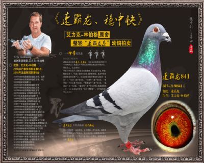 速霸龙841