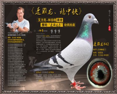 速霸龙842