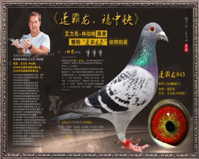 速霸龙843