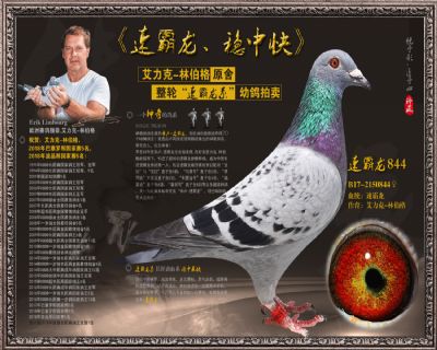 速霸龙844
