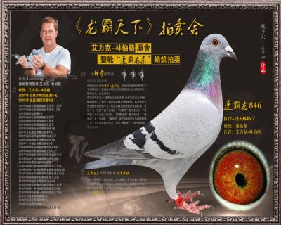 速霸龙846