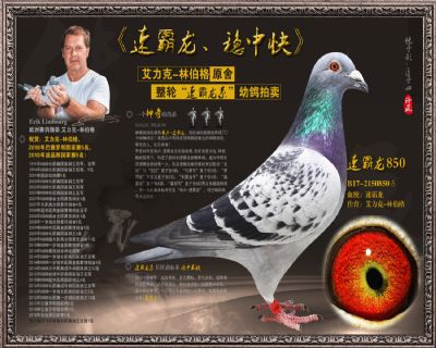 速霸龙850