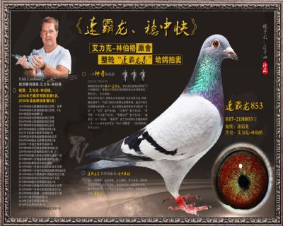 速霸龙853