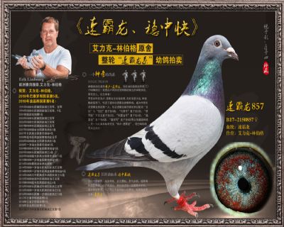 速霸龙857